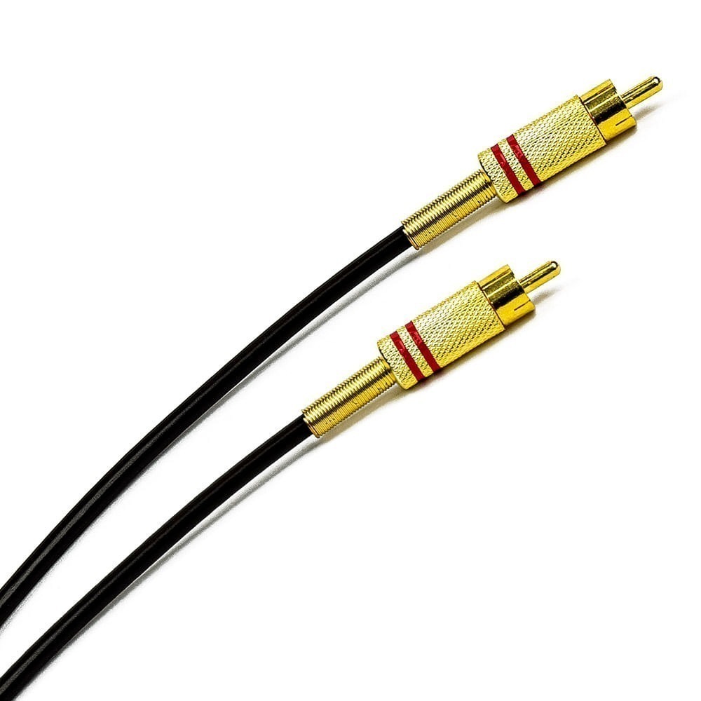 244916-Cabo-RCA-x-RCA-Metal-02.jpg