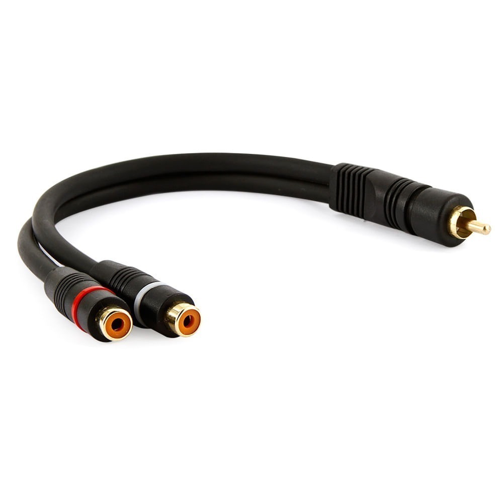 241838-cabo-y-rca-1-macho-x-2-femeas-0-20-cm-cirilocabos-02.jpg 241838-cabo-y-rca-1-macho-x-2-femeas-0-20-cm-cirilocabos-02.jpg