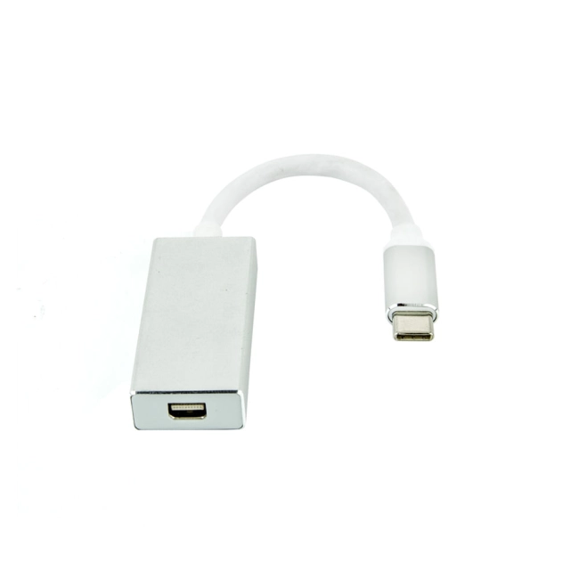 Adaptador-USB-C-para-Mini-Display-Port.jpg